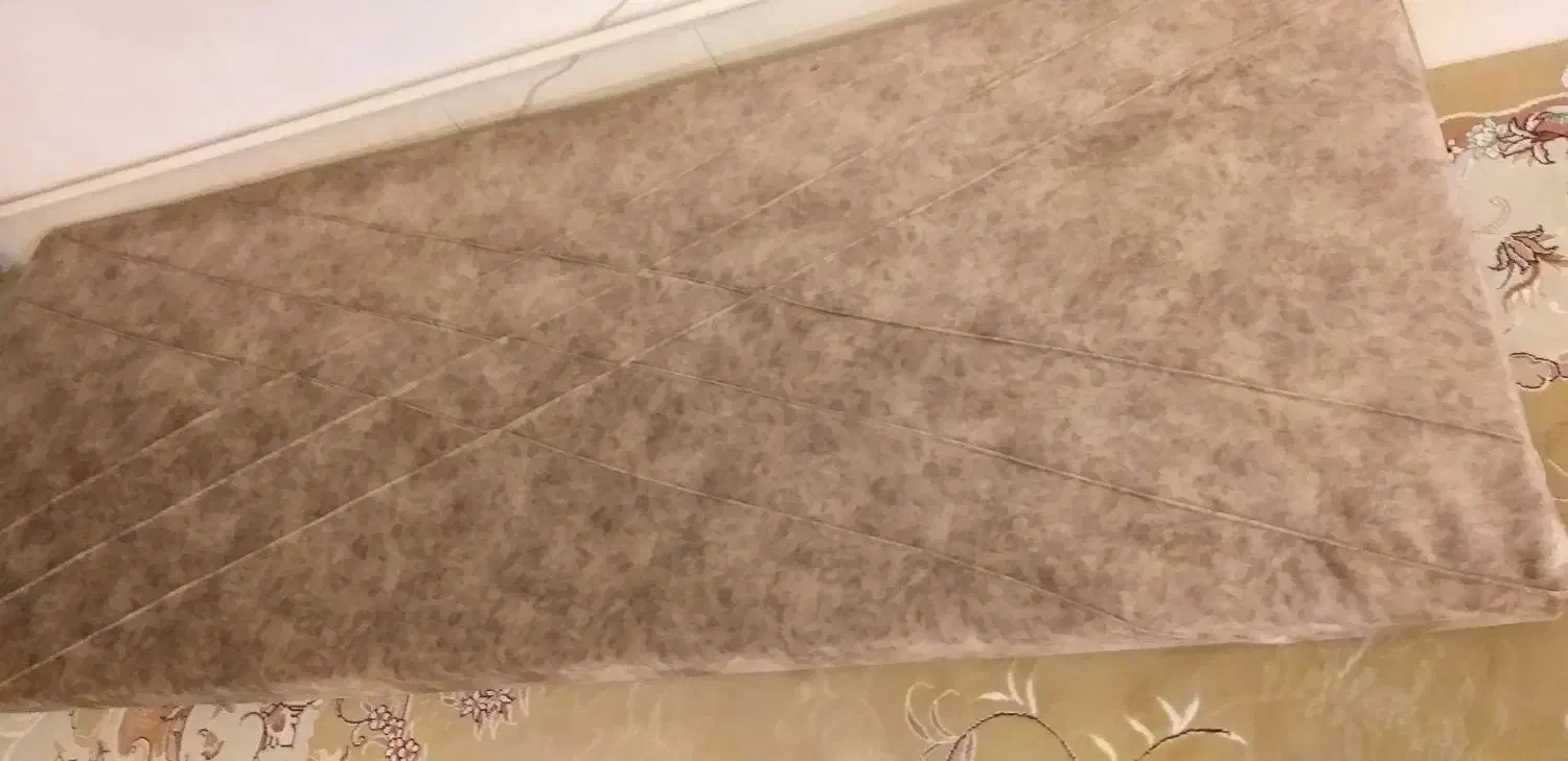 مینتک طوسی رنگ در حوالی الواج|اشیا|ارومیه, |دیوار