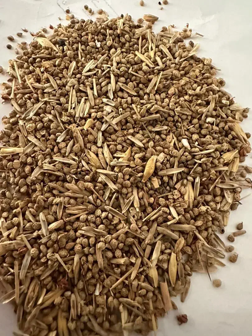 خوراک دام و حیوانات|لوازم جانبی حیوانات|سیجوال, |دیوار