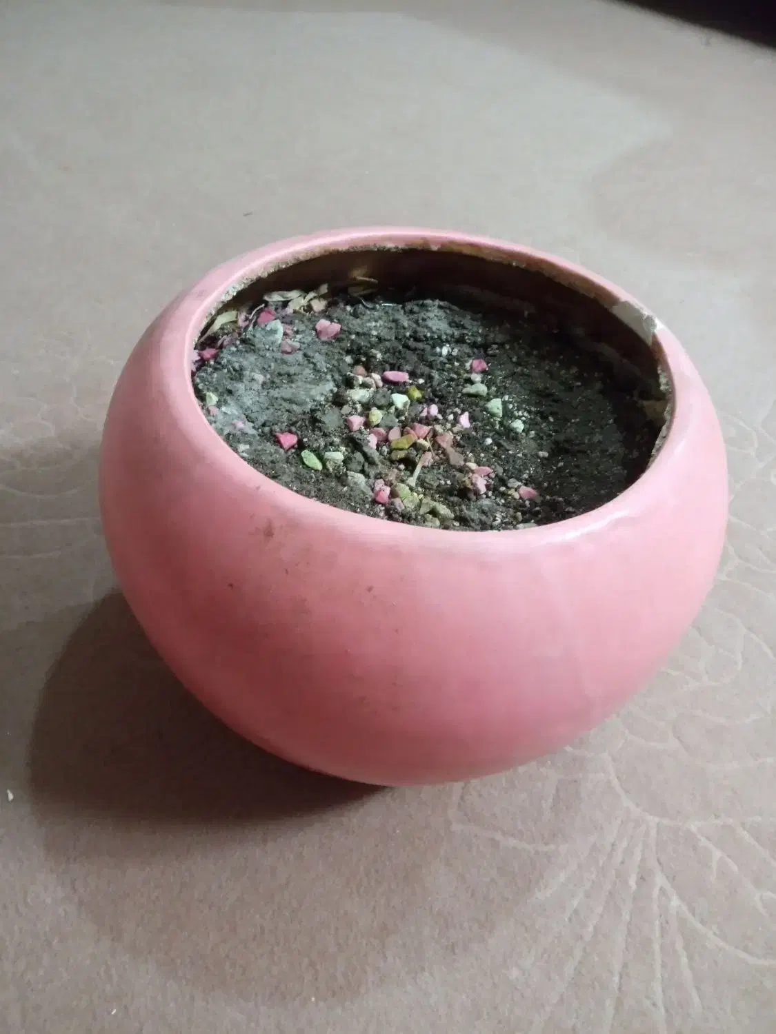 گلدان|گل و گیاه طبیعی|شاهین‌شهر, فردوسی|دیوار