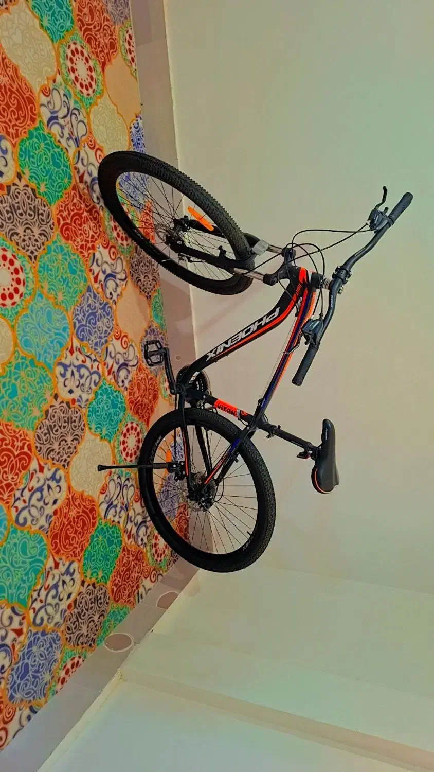 دوچرخه۲۹|دوچرخه، اسکیت، اسکوتر|الشتر, |دیوار