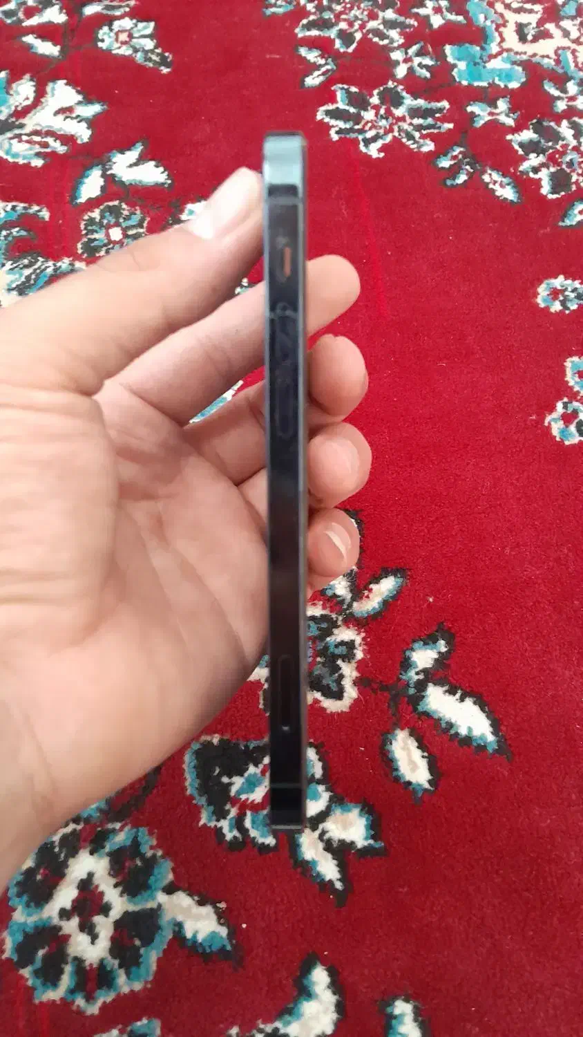 اپل iPhone 12 Pro با حافظهٔ ۲۵۶ گیگابایت|موبایل|مرودشت, گندم‎|دیوار