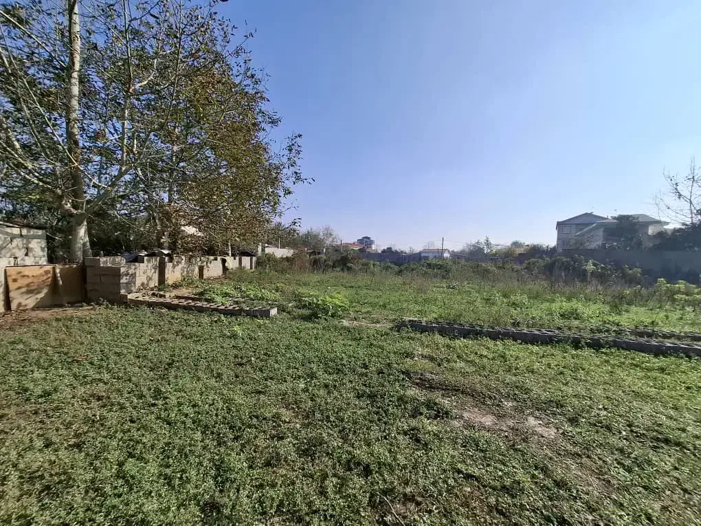 250زمین گوراب زرمیخ|فروش زمین و ملک کلنگی|گوراب زرمیخ, |دیوار