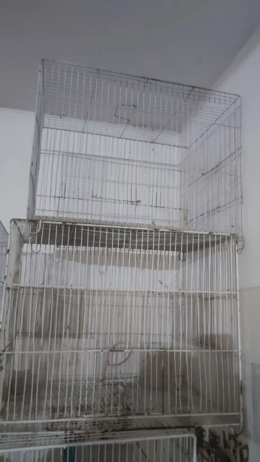 قفس|لوازم جانبی حیوانات|مشهد, ایثار|دیوار