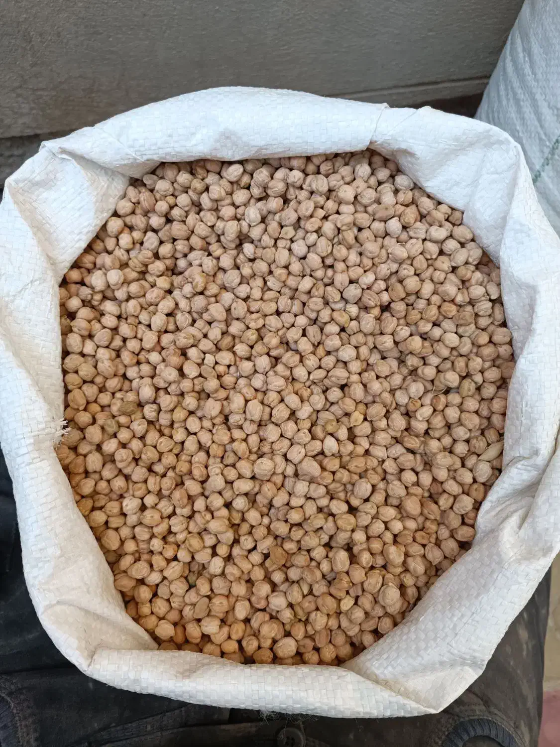 نخود بهاره بیونیج همدان|خوردنی و آشامیدنی|شیراز, دانشگاه شیراز|دیوار