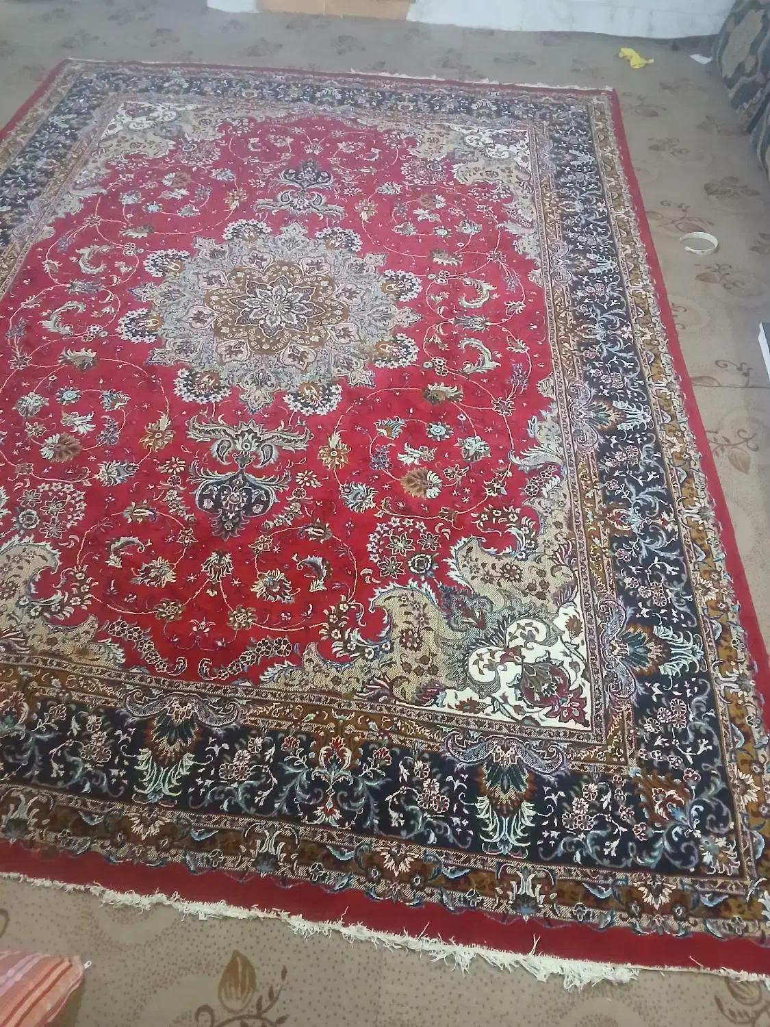 فرش 12 متری|فرش|نیشابور, مبارکه|دیوار