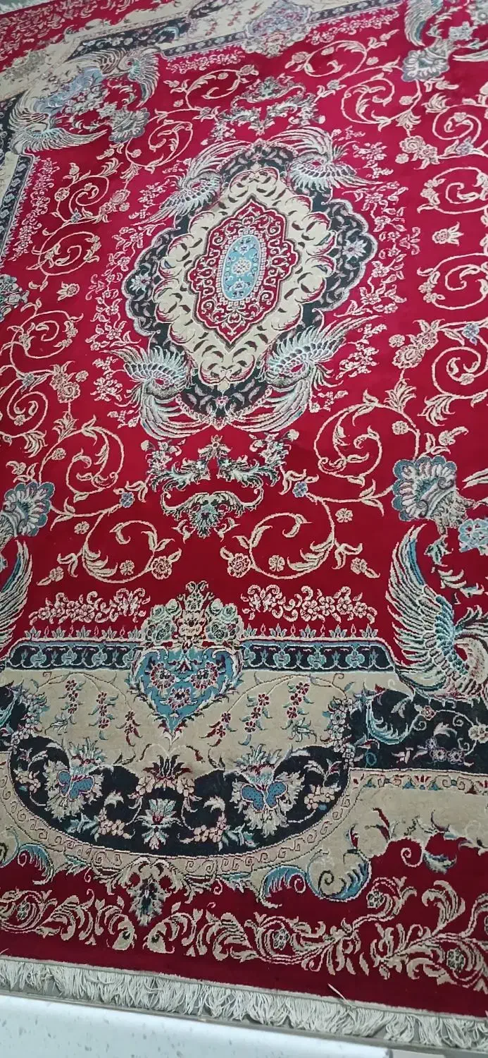 دو عدد قالی ۱۲ متری لاکی|فرش|سیرجان, |دیوار