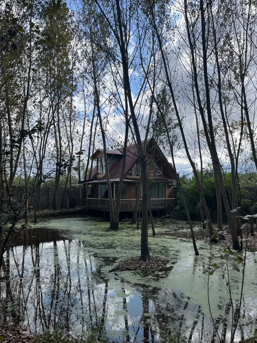 باغ ویلا فوق العاده (کلبه چوبی)|اجارهٔ کوتاه‌مدت ویلا و باغ|کومله, |دیوار