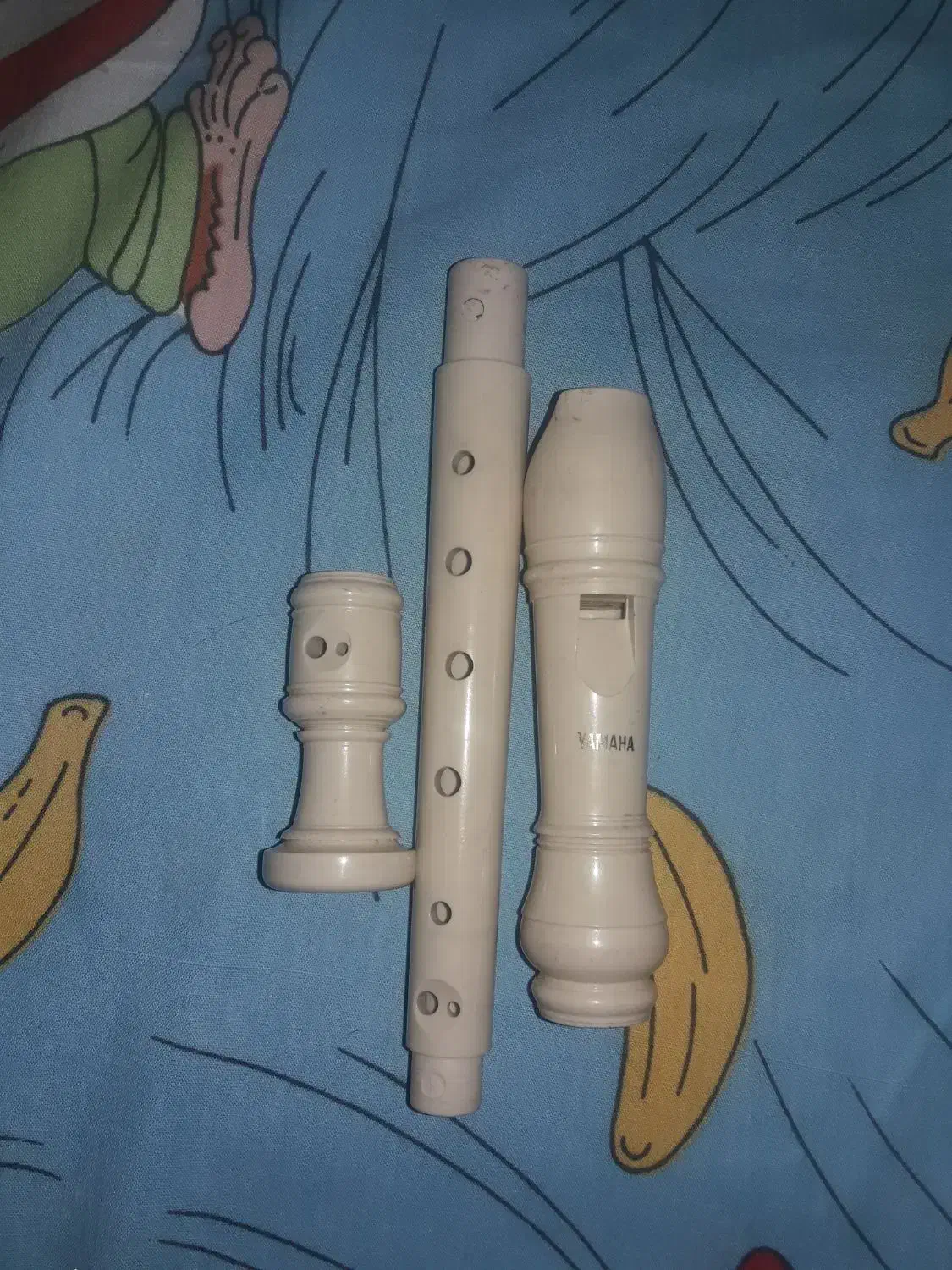 فلوت یاماها|سازهای بادی|رشت, شهرک قدس|دیوار