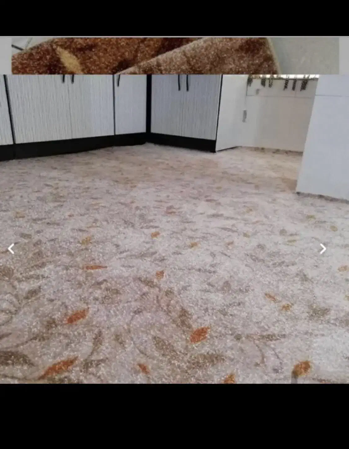 پالاز موکت گلبرگ کرم مدرن ۴۳۰۷|موکت|قم, شاه ابراهیم|دیوار