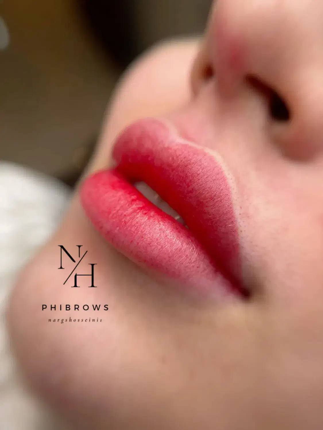 فیبروز/میکروبلیدینگ/شیدینگ لب|خدمات آرایشگری و زیبایی|تهران, تهرانپارس غربی|دیوار