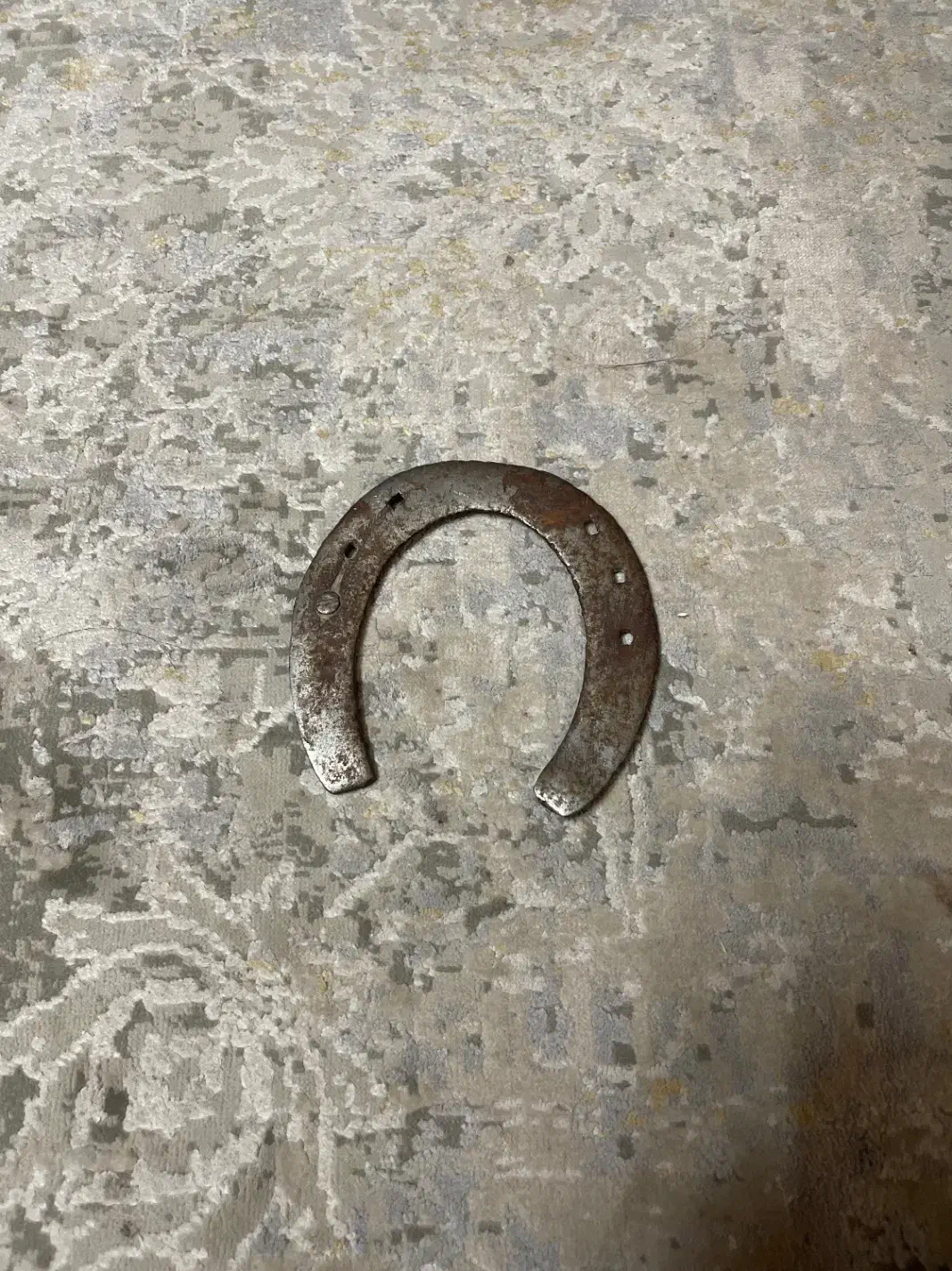 نعل اسب|کلکسیون و سرگرمی|سبزوار, پاسداران|دیوار