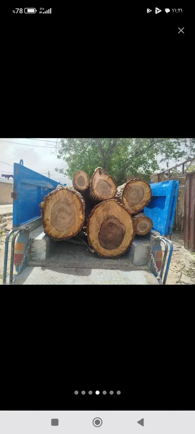 خریدار انواع چوب|خدمات باغبانی و درختکاری|شیروان (لرستان), |دیوار