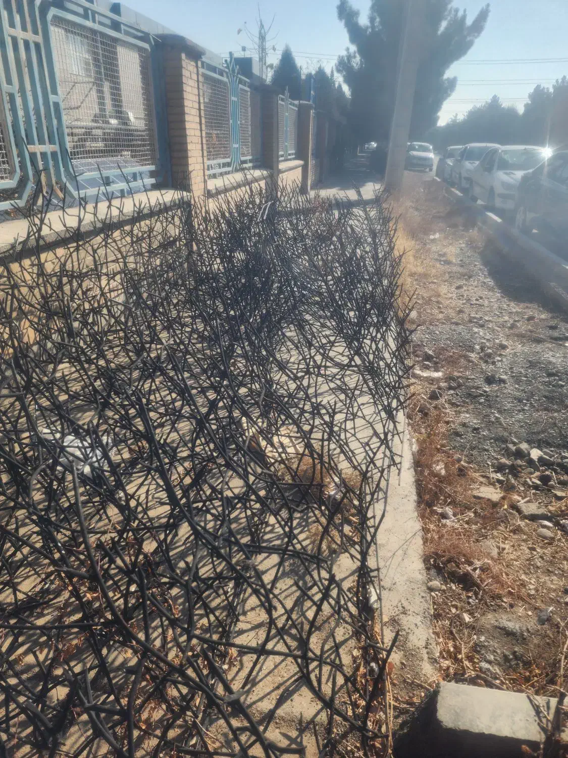 حفاظ روی دیوار مدل شاخ گوزنی|مصالح و تجهیزات ساختمان|مشهد, شهرک صنعتی توس|دیوار