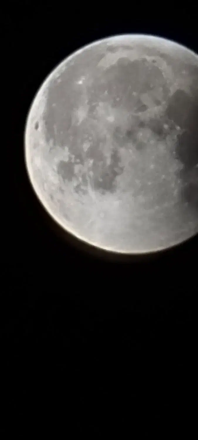 گمشده مدارک گواهینامه کارت ملی به نام رسول اشرفی|اشیا|زنجان, |دیوار