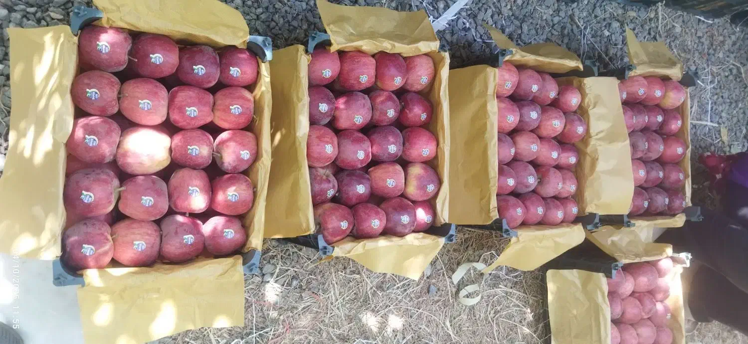 سیب قرمز درجه یک|خوردنی و آشامیدنی|نوشین شهر, |دیوار