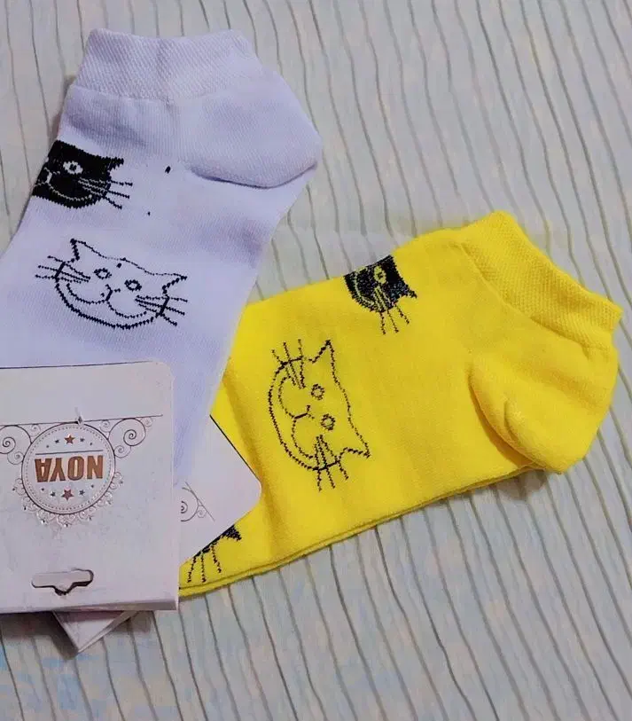 جوراب|لباس|بجنورد, |دیوار