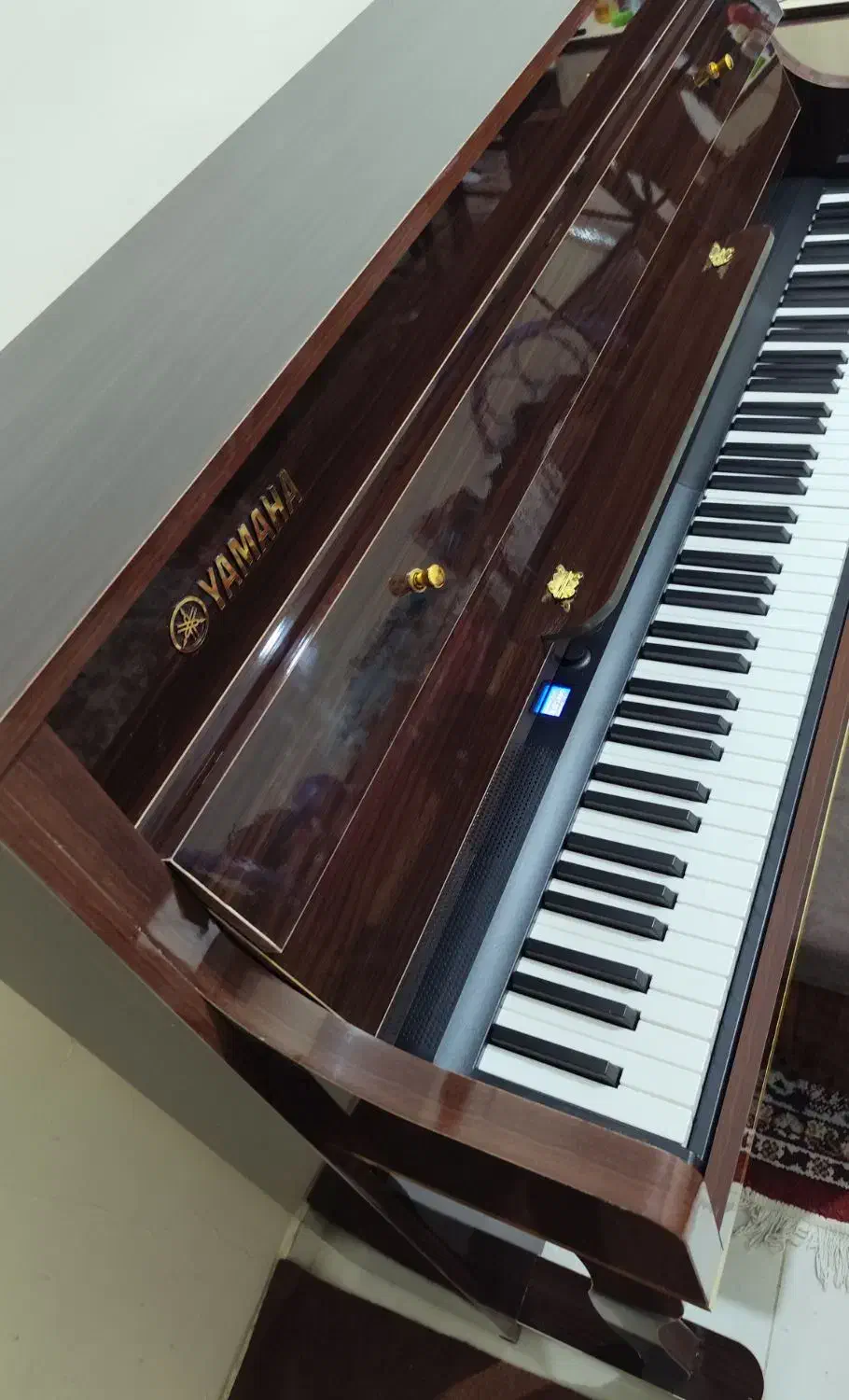 پیانو کونیکس سری d طرح آکوستیک|پیانو، کیبورد، آکاردئون|فردیس, سرحد آباد|دیوار