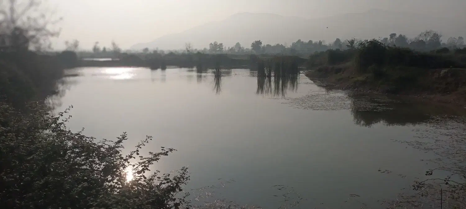 اجاره کوره ذغال و استخر ماهی|اجارهٔ دفتر صنعتی، کشاورزی، تجاری|سنگر, |دیوار