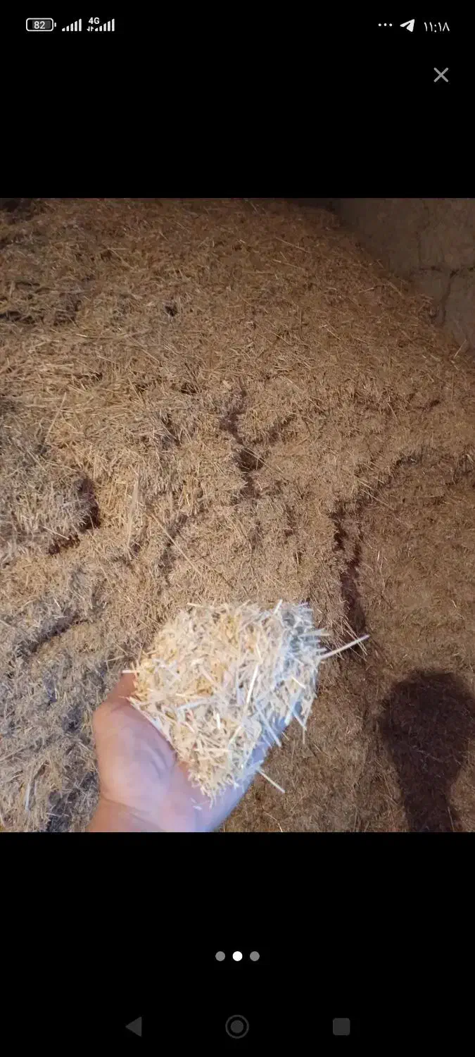 کاه|لوازم جانبی حیوانات|فاروج, |دیوار