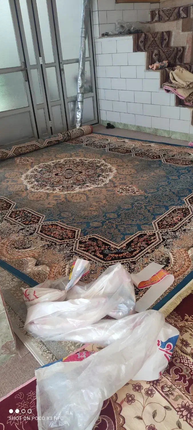 قالی نو ۱۲ متری|فرش|بروجن, |دیوار