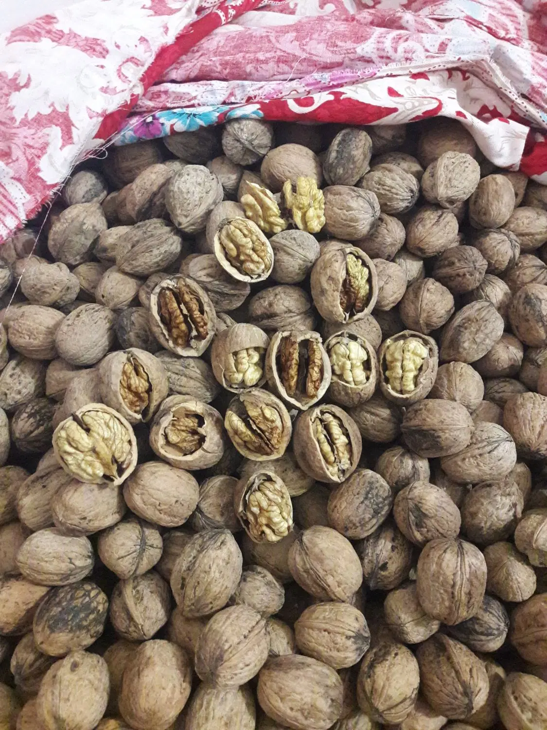 گردو|خوردنی و آشامیدنی|پارسآباد, |دیوار