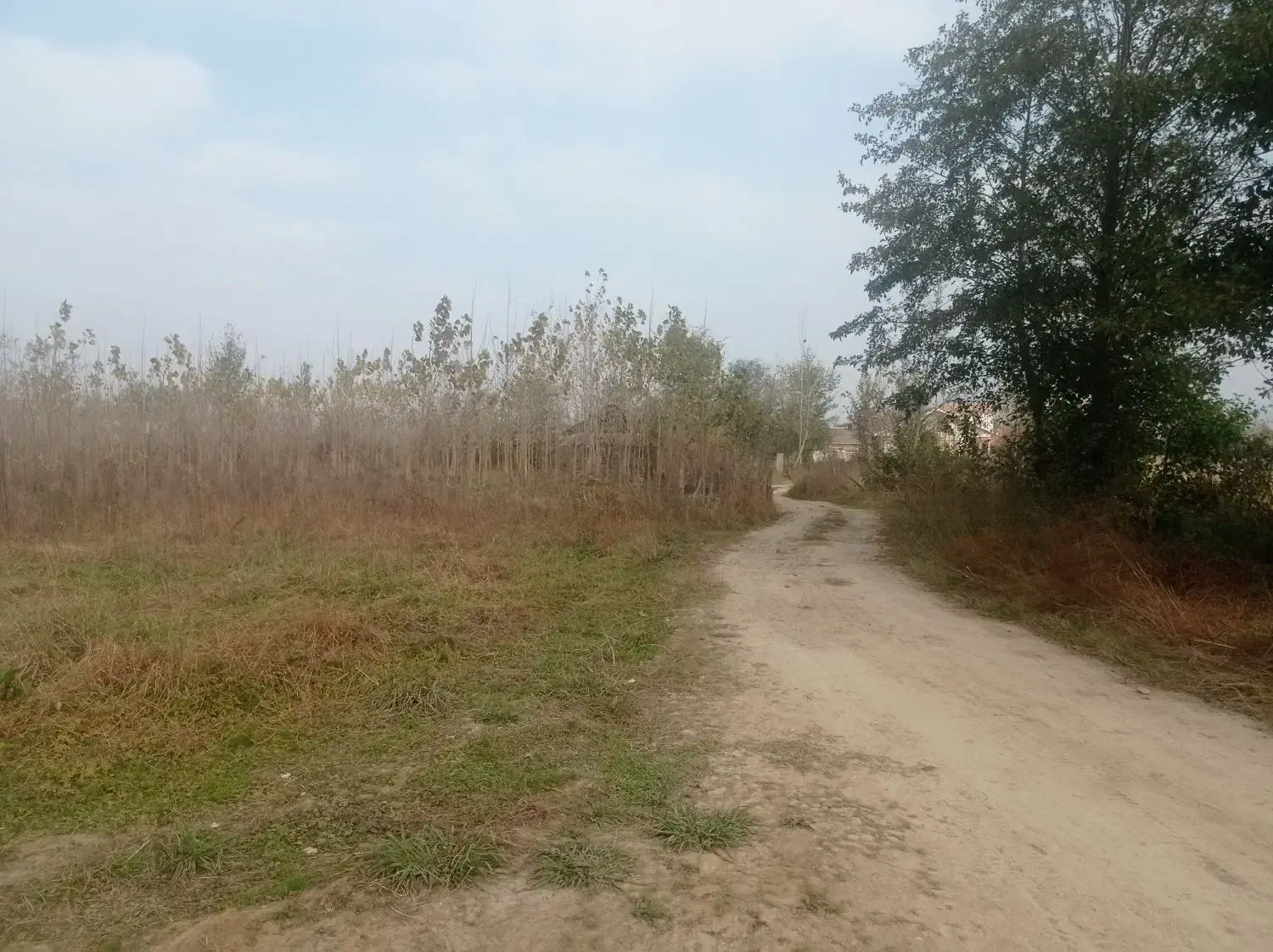 600متر زمین به همراه بنای کلنگی قدیمی|فروش زمین و ملک کلنگی|صومعه‌سرا, |دیوار