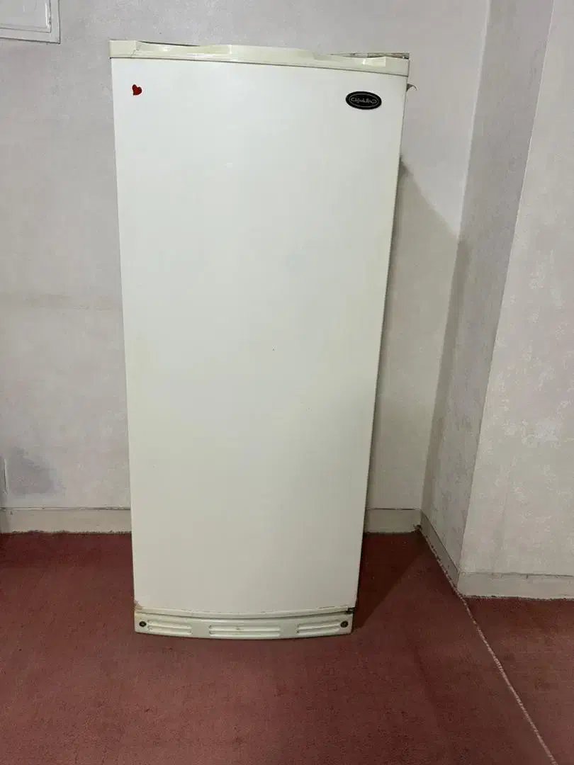 یخچال|یخچال و فریزر|شهر ری, شهادت|دیوار