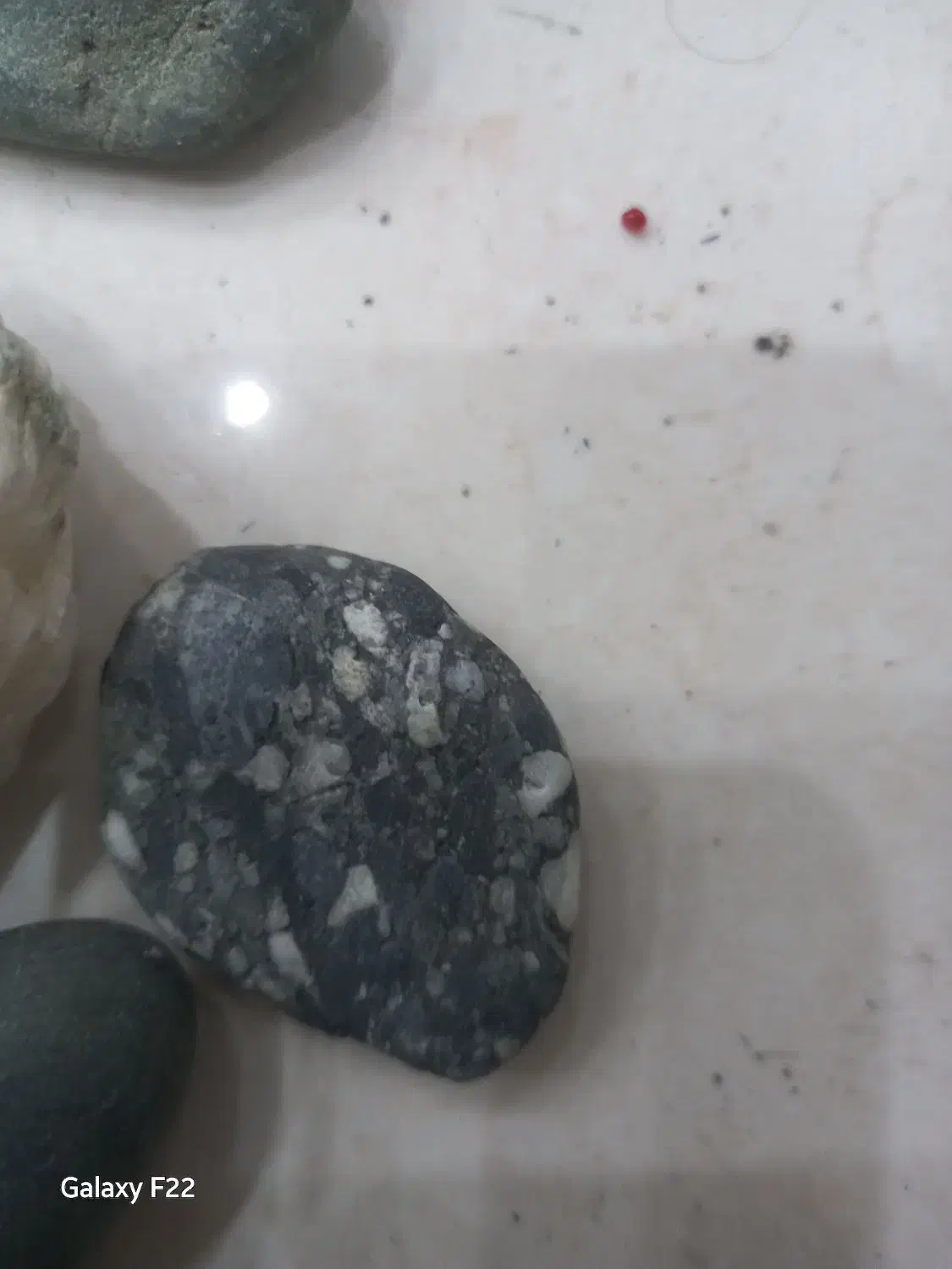 سنگ|کلکسیون و سرگرمی|تربت جام, معدآباد|دیوار