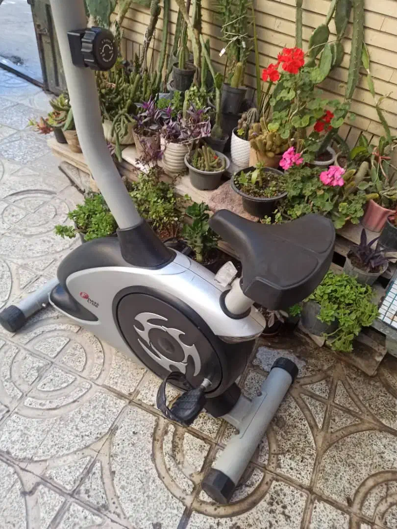 دوچرخه ثابت برند لاین فیتنس|تجهیزات ورزشی|لنجان, |دیوار