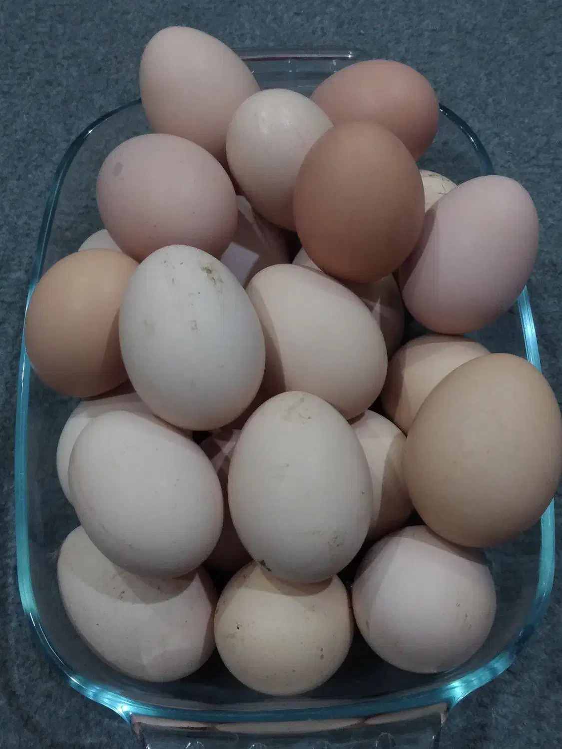 تخم مرغ بومی  و  بلدرچین|خوردنی و آشامیدنی|اصفهان, رزمندگان|دیوار