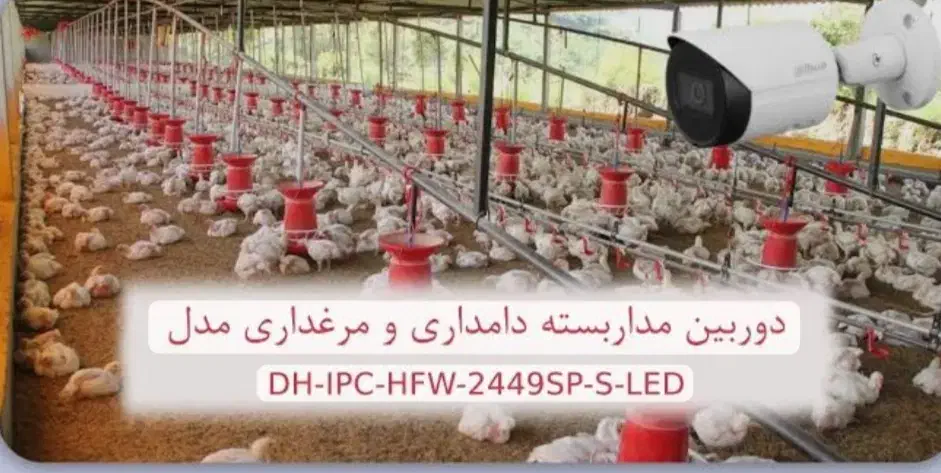 iHD ip|دوربین مداربسته|خاش, |دیوار