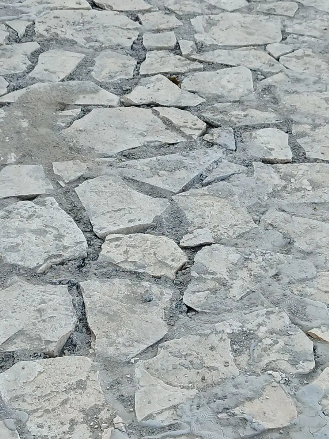 استخدام بنای سنگ مالون کار،سنگ تراش|استخدام معماری، عمران و ساختمانی|بندرعباس, |دیوار