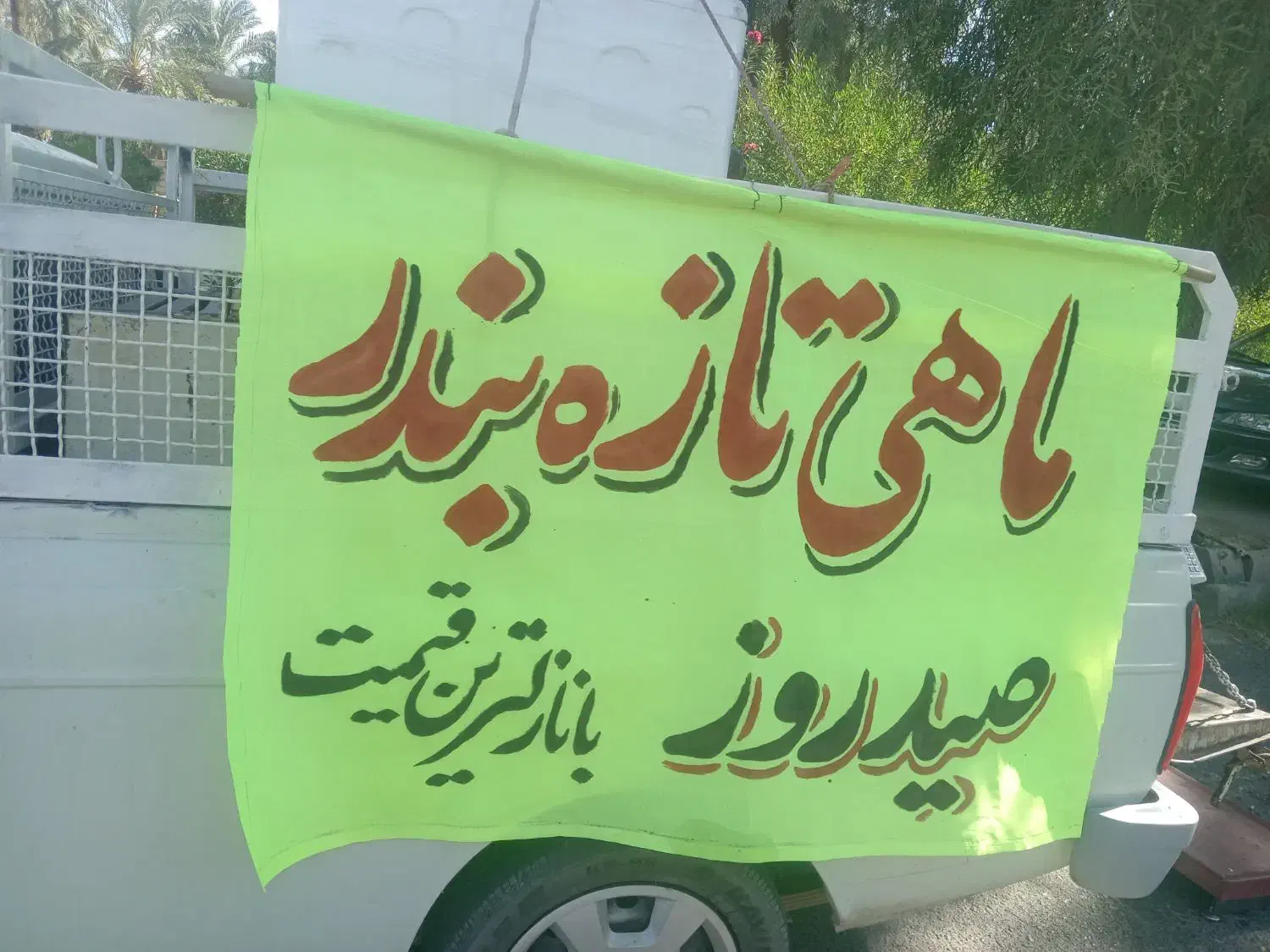 ماهی تازه بندر رسید ماهی تلال|ماهی|بم, |دیوار