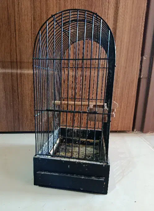 قفس کوچک،ارتفاع35|لوازم جانبی حیوانات|اصفهان, گلزار|دیوار