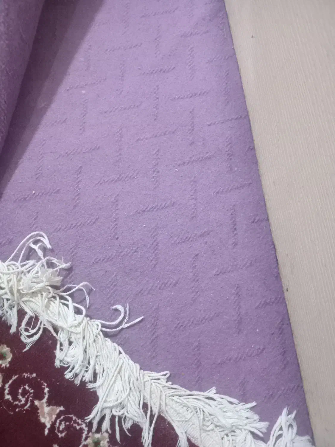 موکت 12 متری|موکت|علی‌آباد کتول, |دیوار