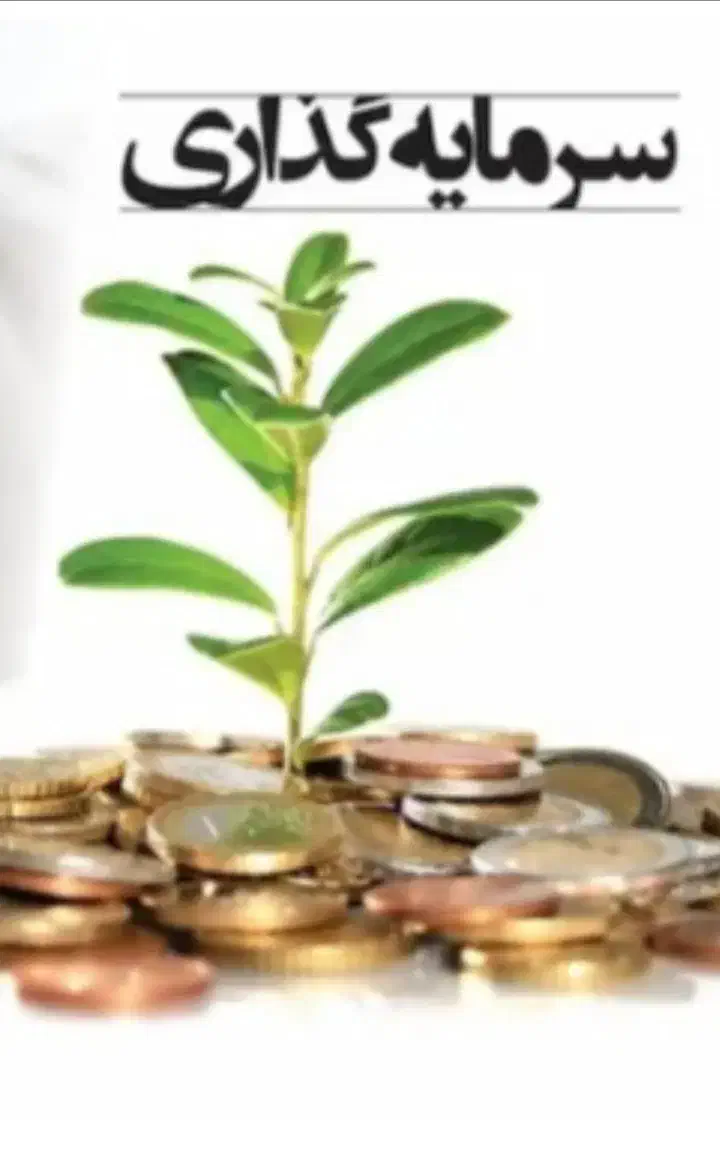 سرمایه گذار زمین|استخدام مالی، حسابداری، حقوقی|صدرا-فارس, فاز ۱|دیوار