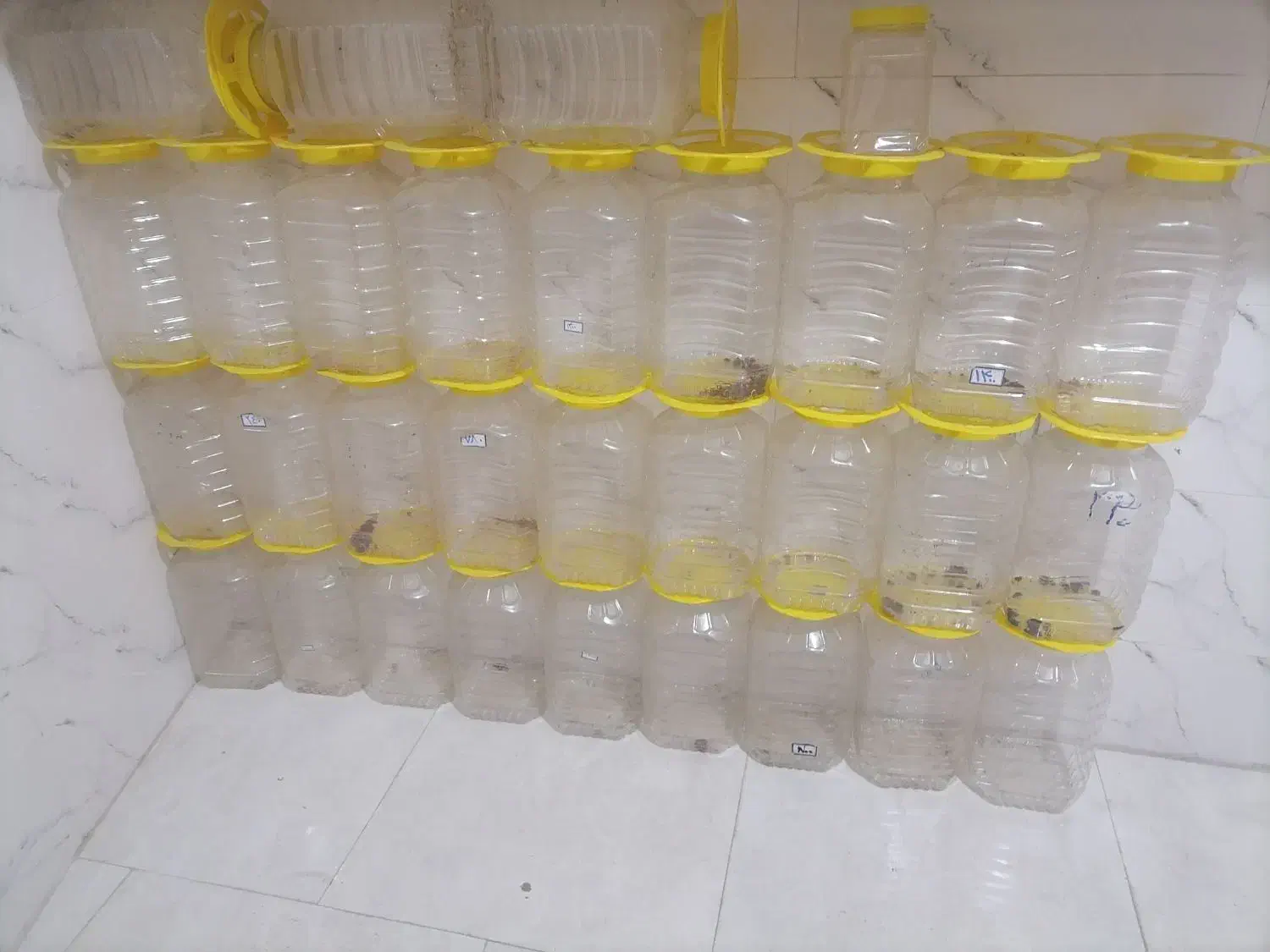 دبه چهارفصل|ظروف نگهدارنده، پلاستیکی، یک‌بارمصرف|گرگان, |دیوار