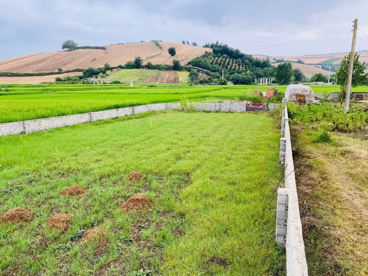 فروش زمین مسکونی ۵۰۰ متری|فروش زمین و ملک کلنگی|نکا, |دیوار