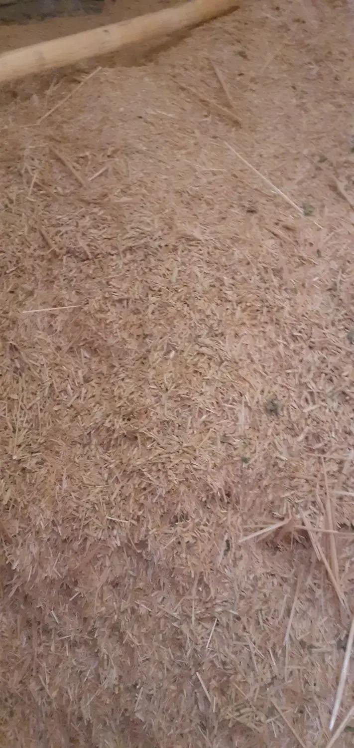 کاه گندم|عمدهفروشی|شیروان (لرستان), |دیوار