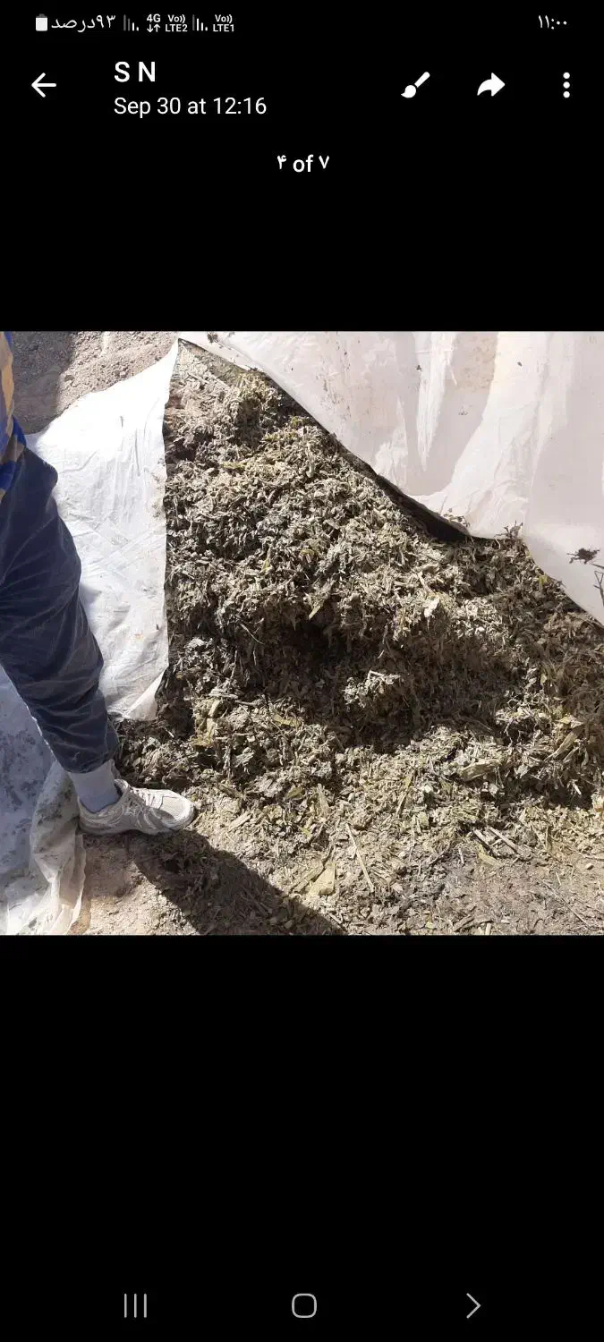 سیلو ذرت تناژ بالا|عمده‌فروشی|طرقبه, |دیوار