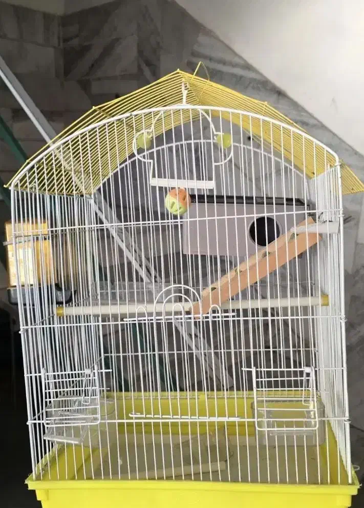 قفس پرنده|لوازم جانبی حیوانات|فردیس, فردیس|دیوار