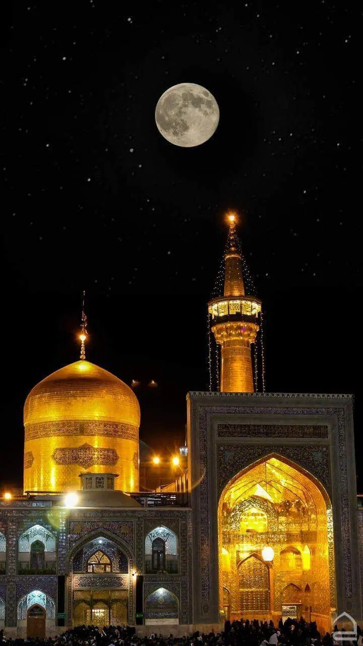 تور ریلی مشهد مقدس|تور و چارتر|تهران, صادقیه|دیوار