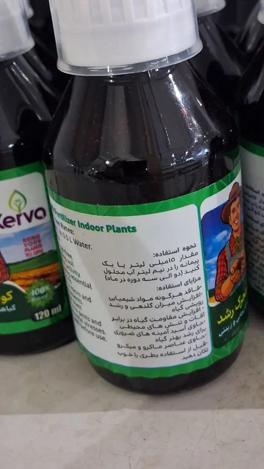 قابل توجه گل فروشی ها|گل و گیاه طبیعی|تهران, ورزشگاه آزادی|دیوار