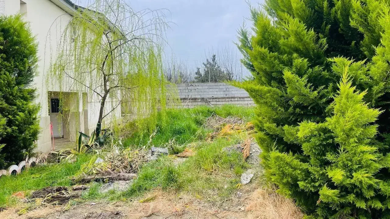 زمین۲۵۴ متری در جوربند|فروش زمین و ملک کلنگی|امامزاده عبدالله, |دیوار