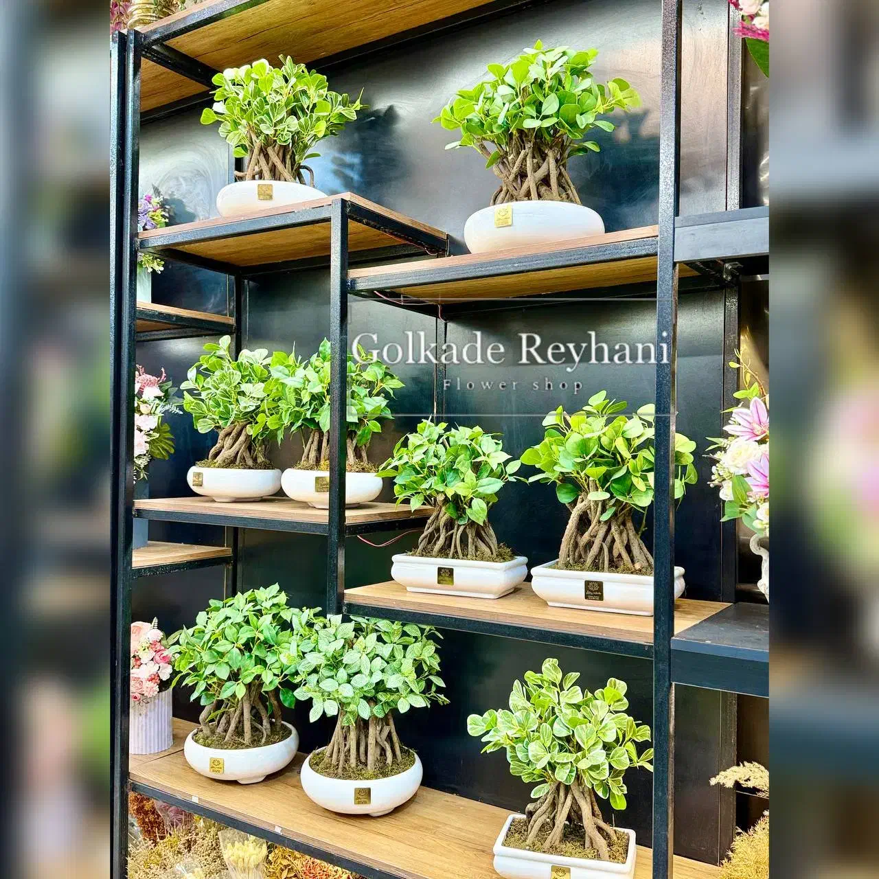 بونسای مصنوعی گل هدیه و رومیزی|گل مصنوعی|مشهد, شهید مطهری|دیوار