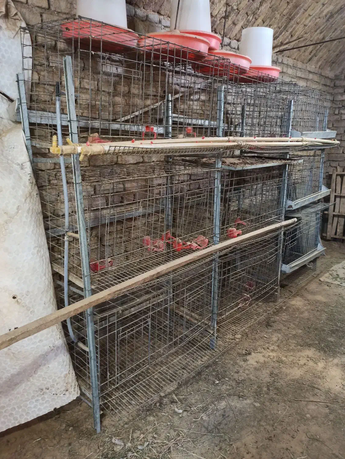 قفس مرغ تخمگذار|حیوانات مزرعه|فردوس (خراسان), |دیوار