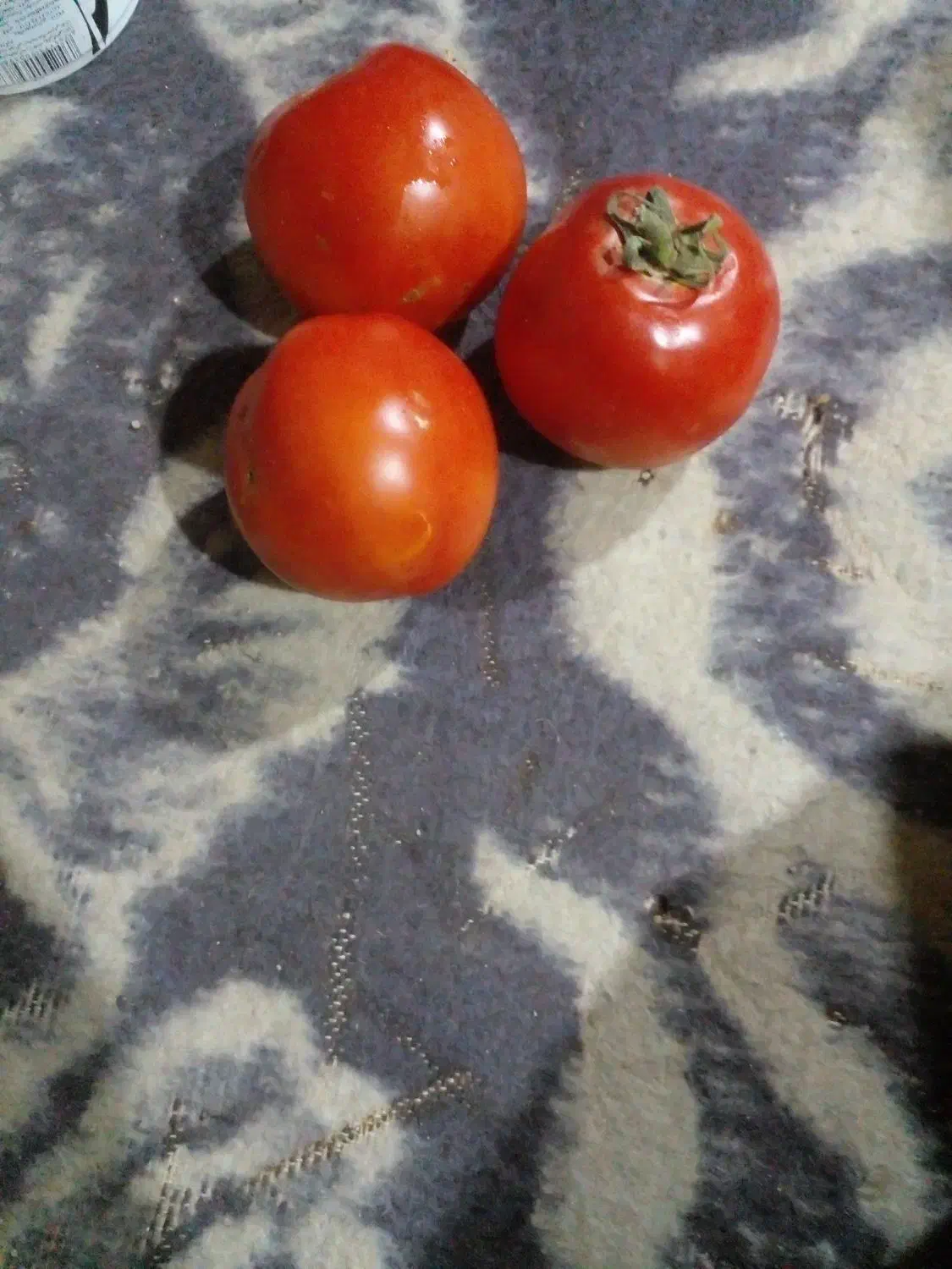 گوجه پی اس خوش رنگ گوشتی مخصوص رب|خوردنی و آشامیدنی|قوچان, |دیوار