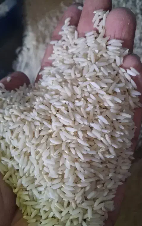 برنج طارم هاشمی دورود|خوردنی و آشامیدنی|دورود, |دیوار