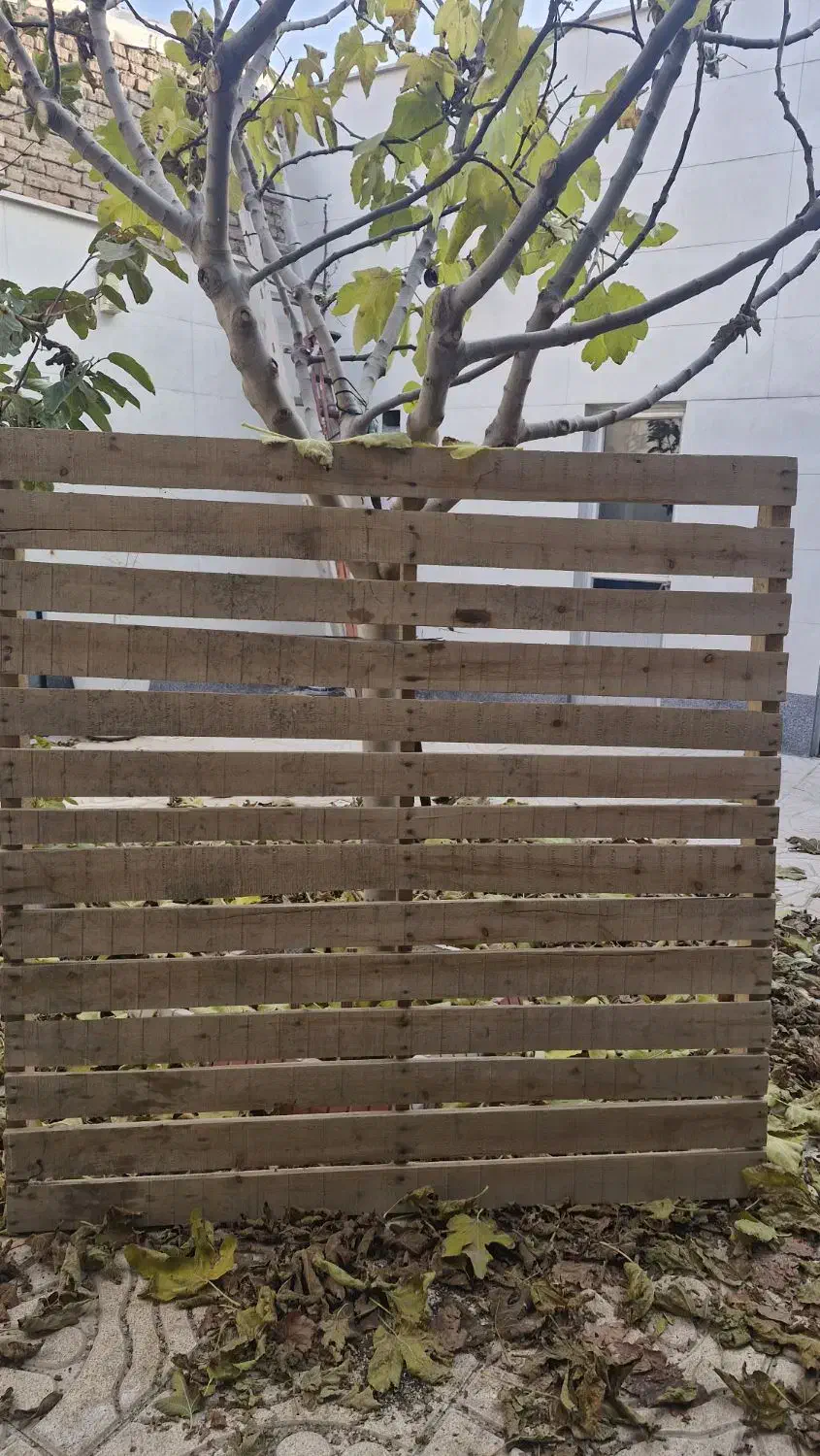 پالت بزرگ|مصالح و تجهیزات ساختمان|سلماس, |دیوار