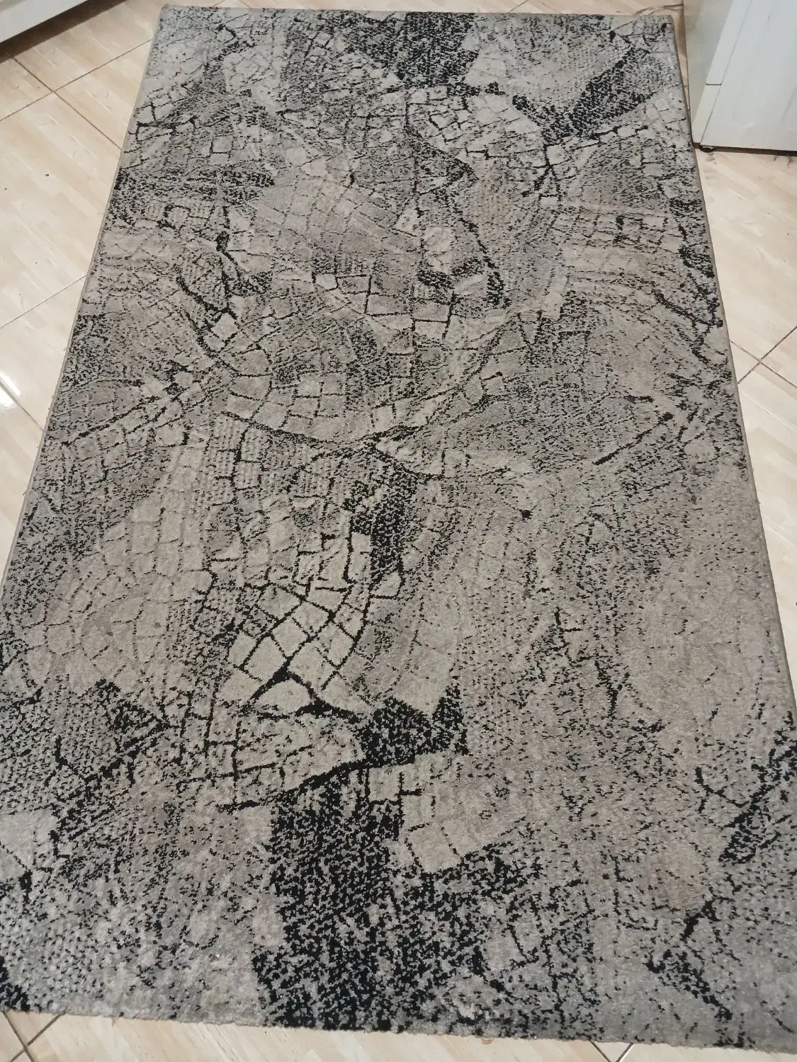 گلیم فرش  ۳ متری|گلیم، جاجیم، گبه|لنگرود, |دیوار